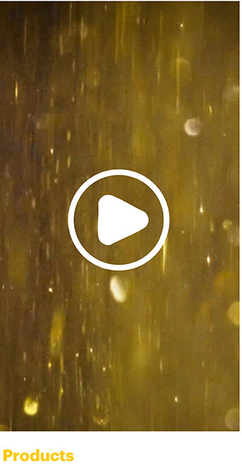 Digitect-Credentials-Aug2025EN-47_05